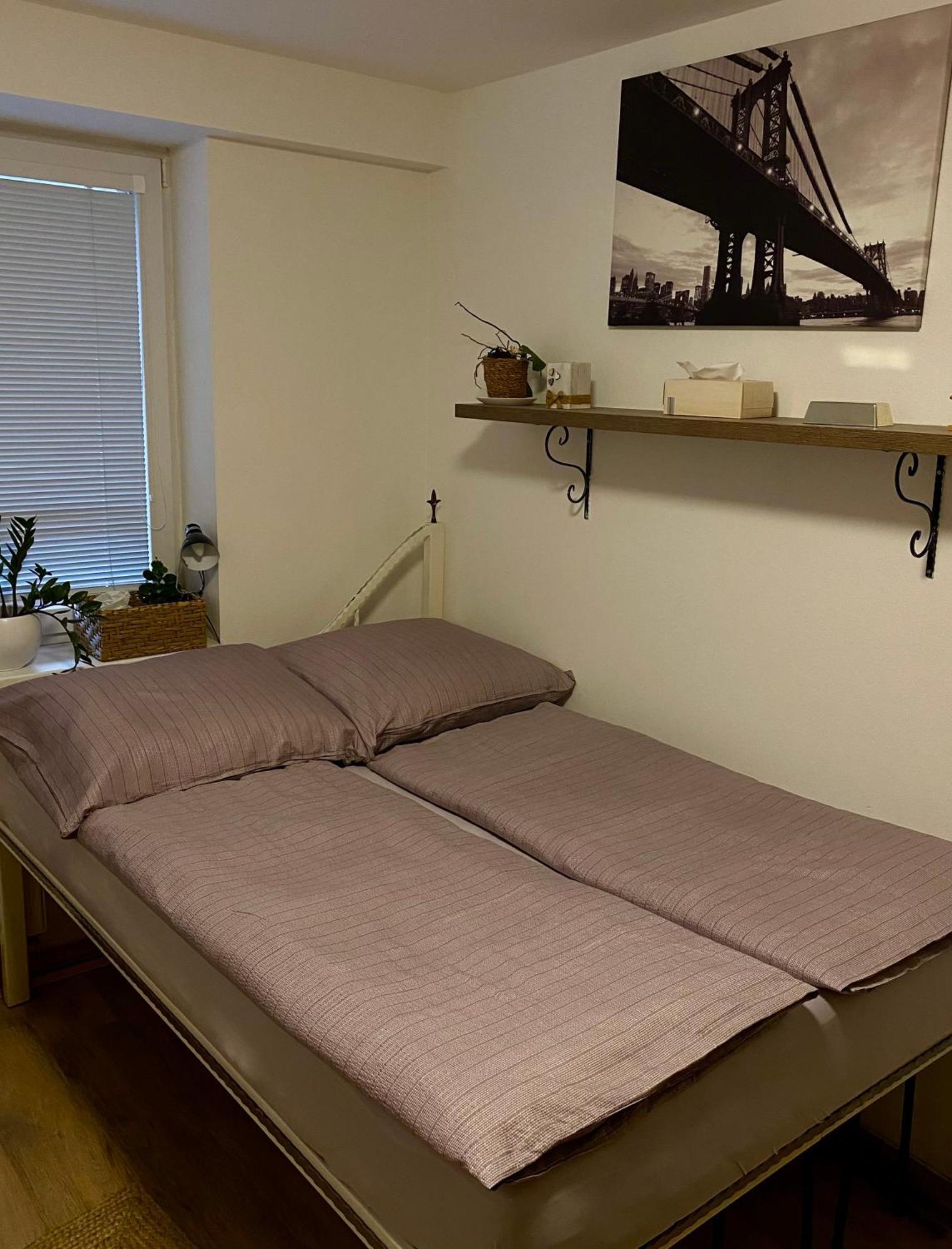 Apartamento Apartman Slnecna Terasa S Vlastnym Parkovanim Na 2 Auta Žilina Exterior foto